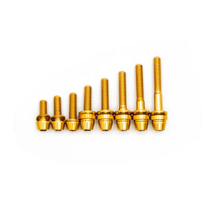 Mountain Bike Bolts for Brake Calipers