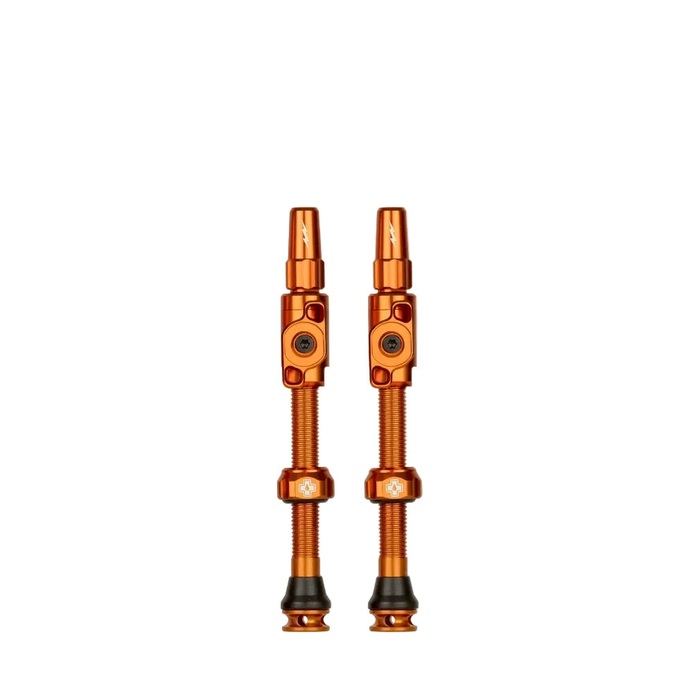Big Bore Lite Tubeless Valves
