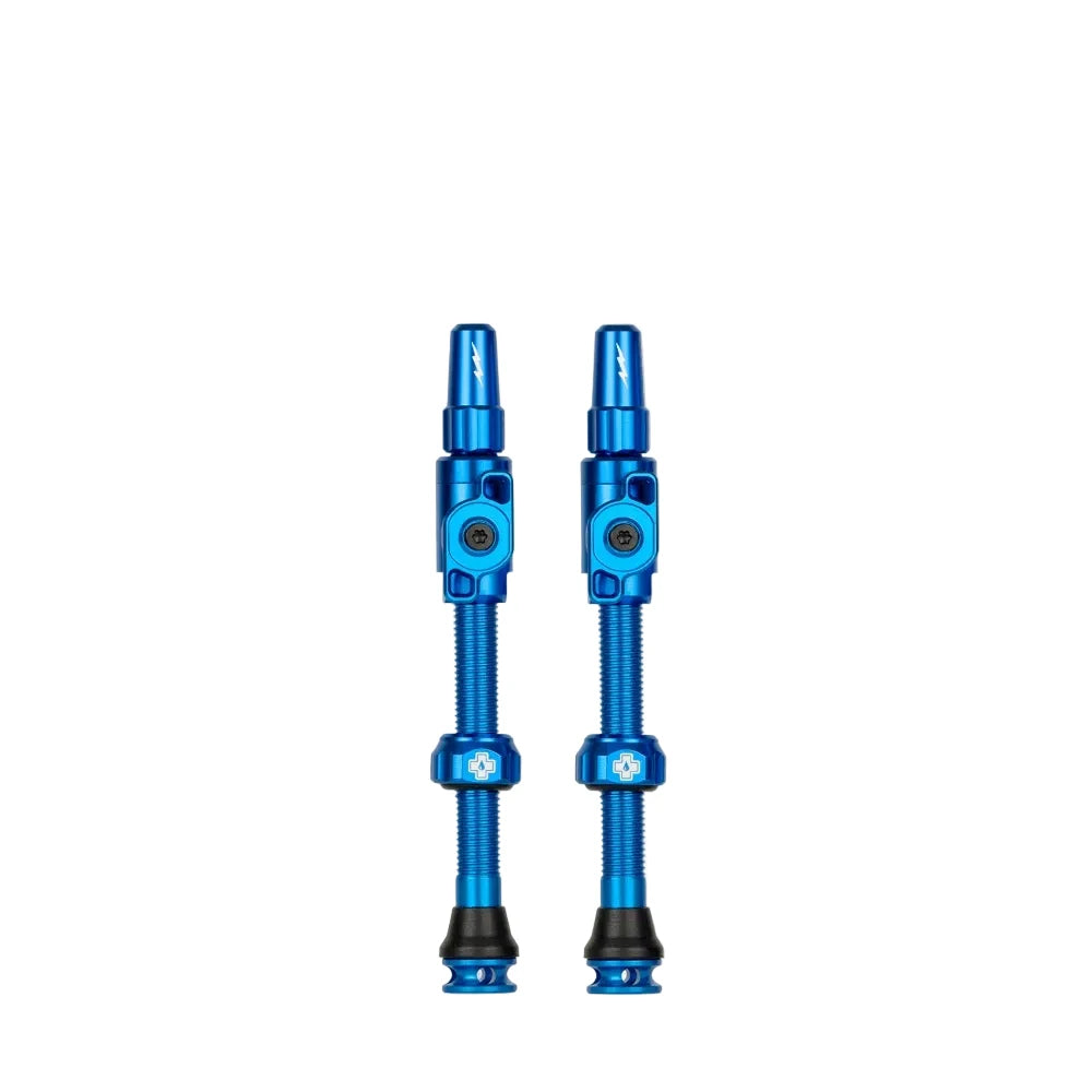 Big Bore Lite Tubeless Valves